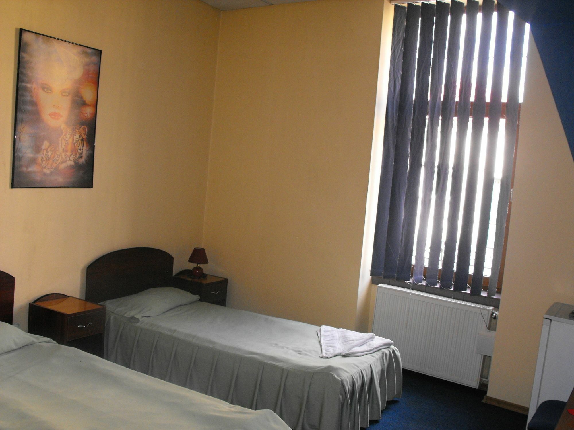 Pensiunea Flamingo Hotel 3*