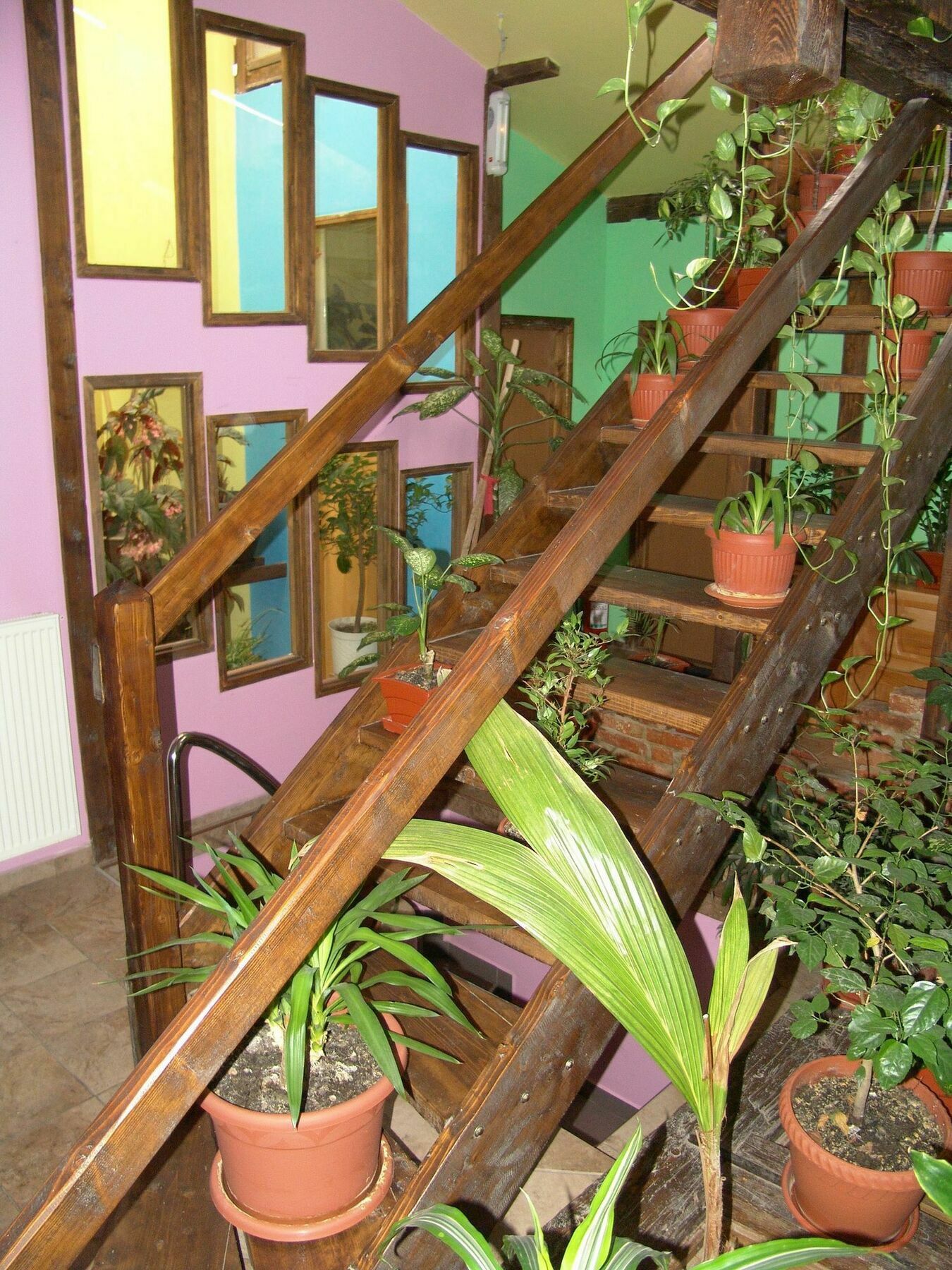Hotel Pensiunea Flamingo